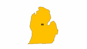 MI